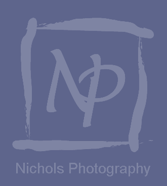 n p logo